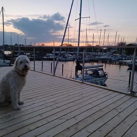 Hausboot Gluecksmomente Mit Dachterrasse In Schleswig Am Ostseefjord Schlei Ngoại thất bức ảnh