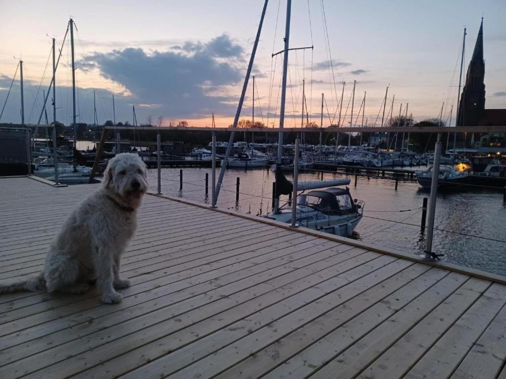 Hausboot Gluecksmomente Mit Dachterrasse In Schleswig Am Ostseefjord Schlei Ngoại thất bức ảnh